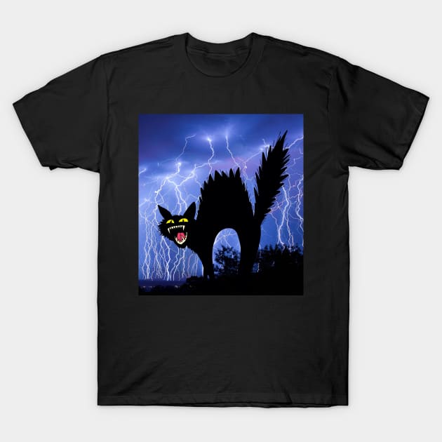 Cat Mom Crazy Cat Black Cat Lightning Night T-Shirt by Daphne R. Ellington